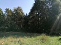 Działka rolna Aleksandrów. Zdjęcie 3