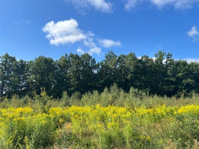 Działka siedliskowa Łomnica, ul. Karpnicka. Zdjęcie 11