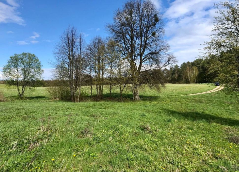 Działka rolna Zalec. Zdjęcie 5