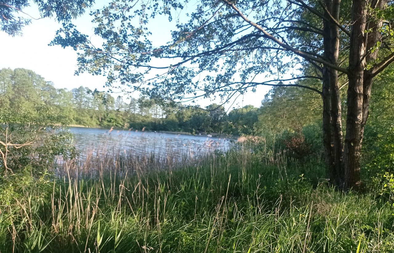 Działka rolno-budowlana Kosewo, ul. Lipnicka. Zdjęcie 1