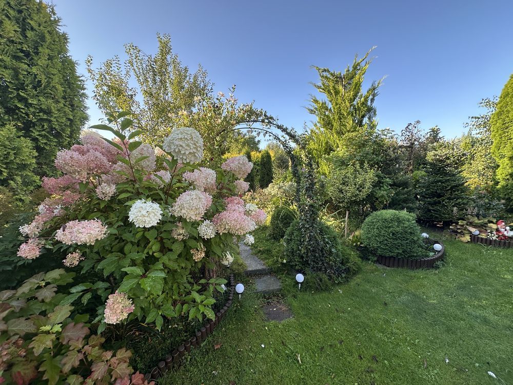 Działka rod Bełchatów, ul. Cegielniana. Zdjęcie 3