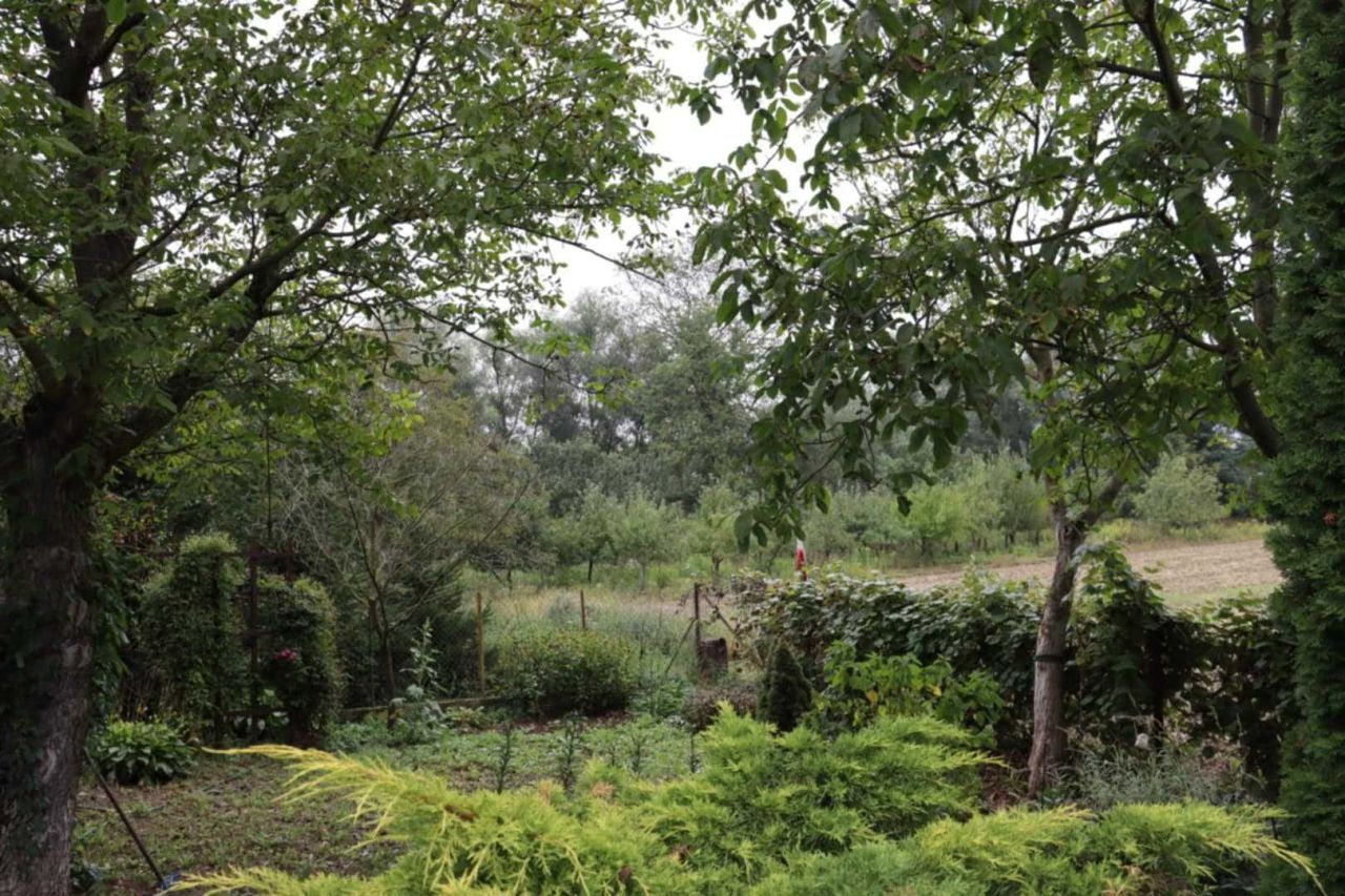 gospodarstwo Kępa Karolińska. Zdjęcie 6