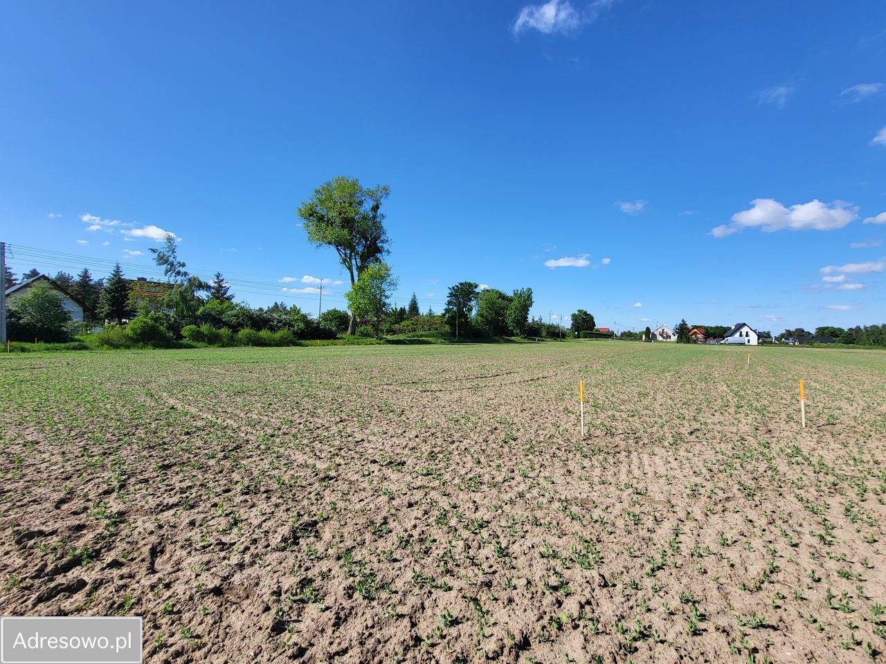 Działka budowlana Tymawa. Zdjęcie 4