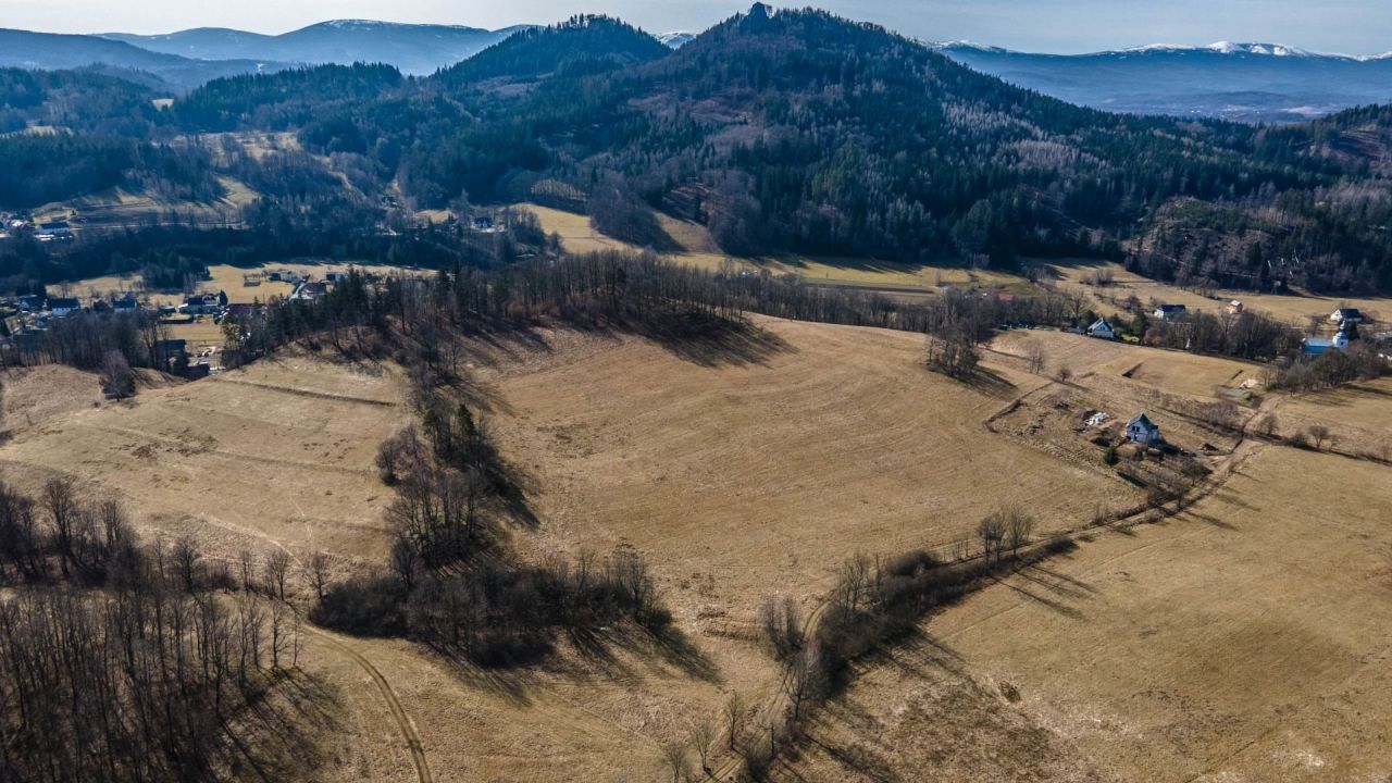 Działka Trzcińsko. Zdjęcie 7