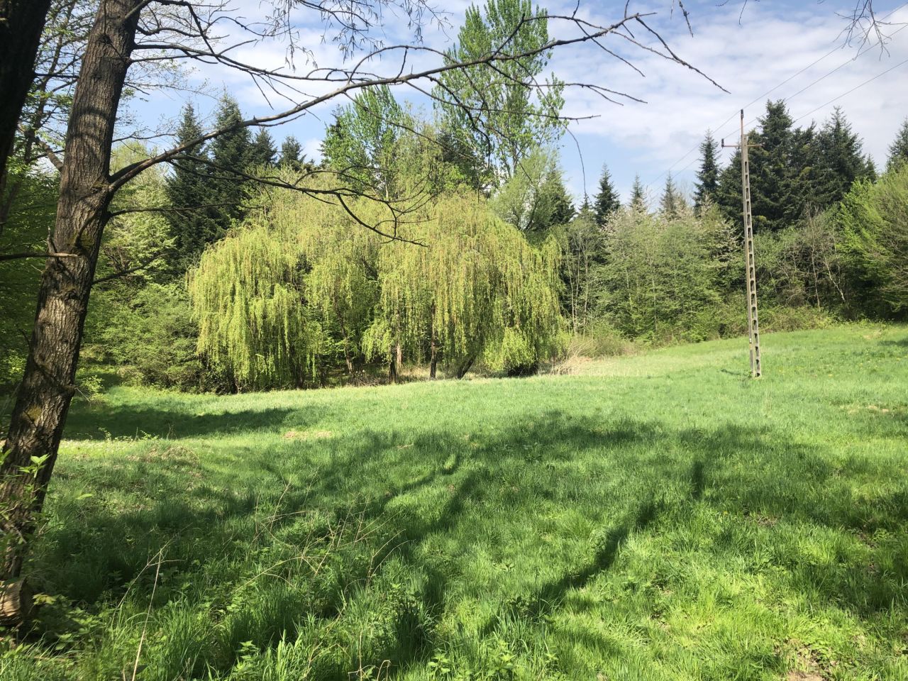 Działka inna Glinik Charzewski, Glinik Charzewski. Zdjęcie 3
