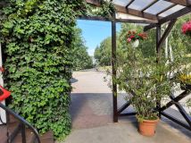 Lokal Stare Łysogórki. Zdjęcie 1