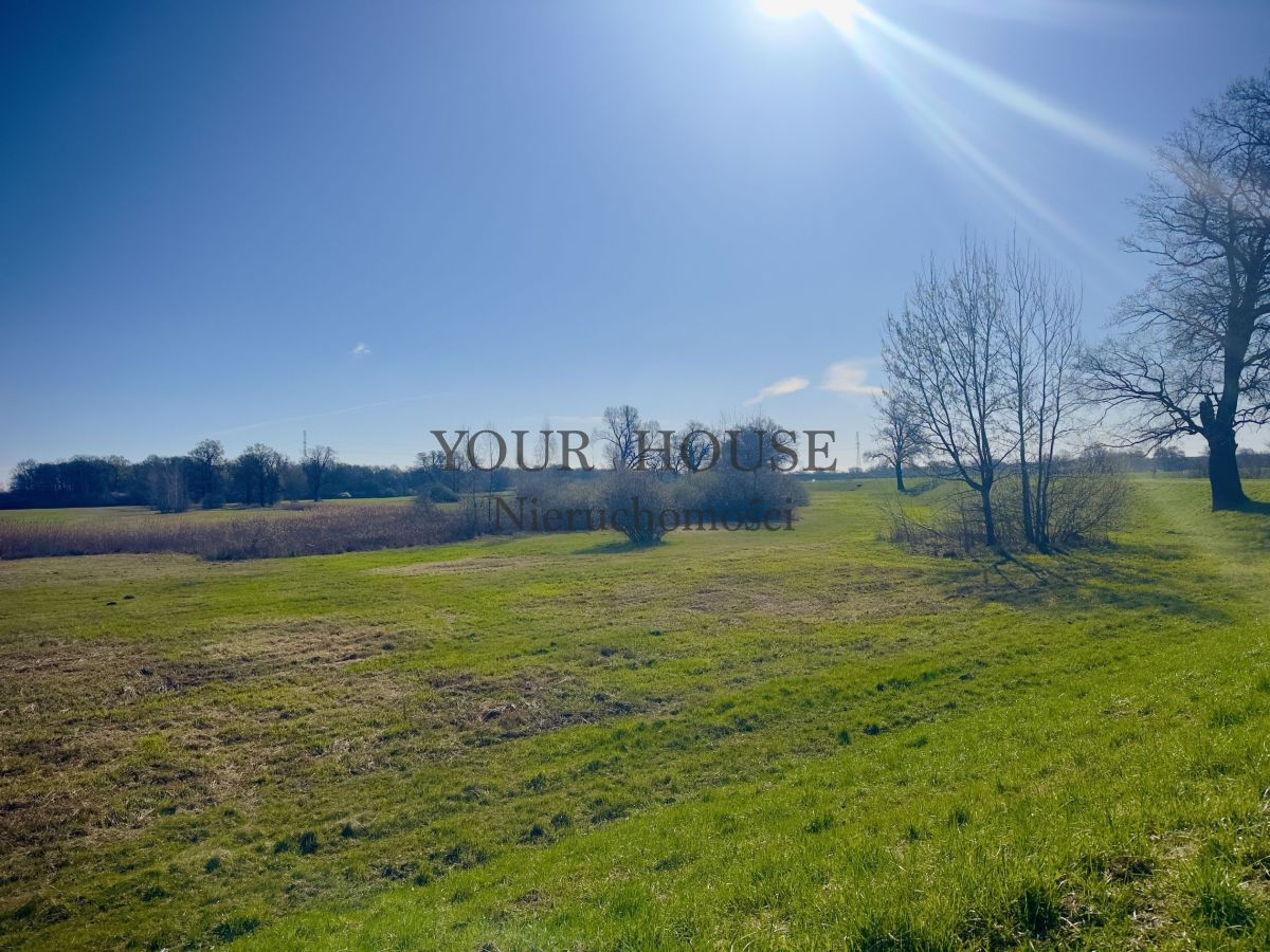 Działka budowlana Trestno. Zdjęcie 2