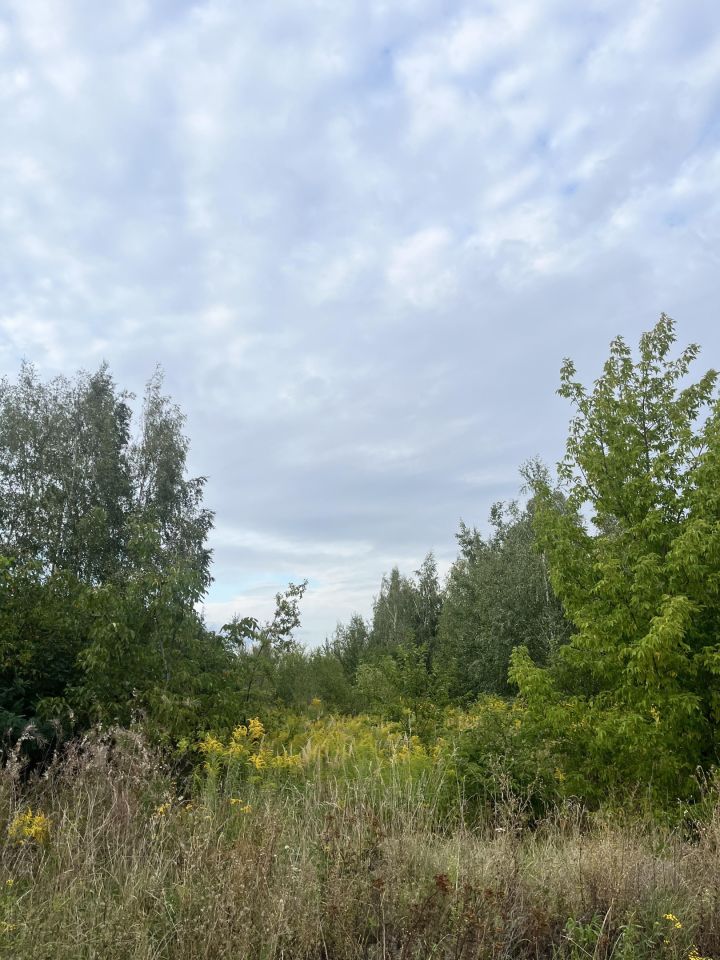 Działka inwestycyjna Piotrków Trybunalski Raków Mały, ul. Tomaszowska. Zdjęcie 3