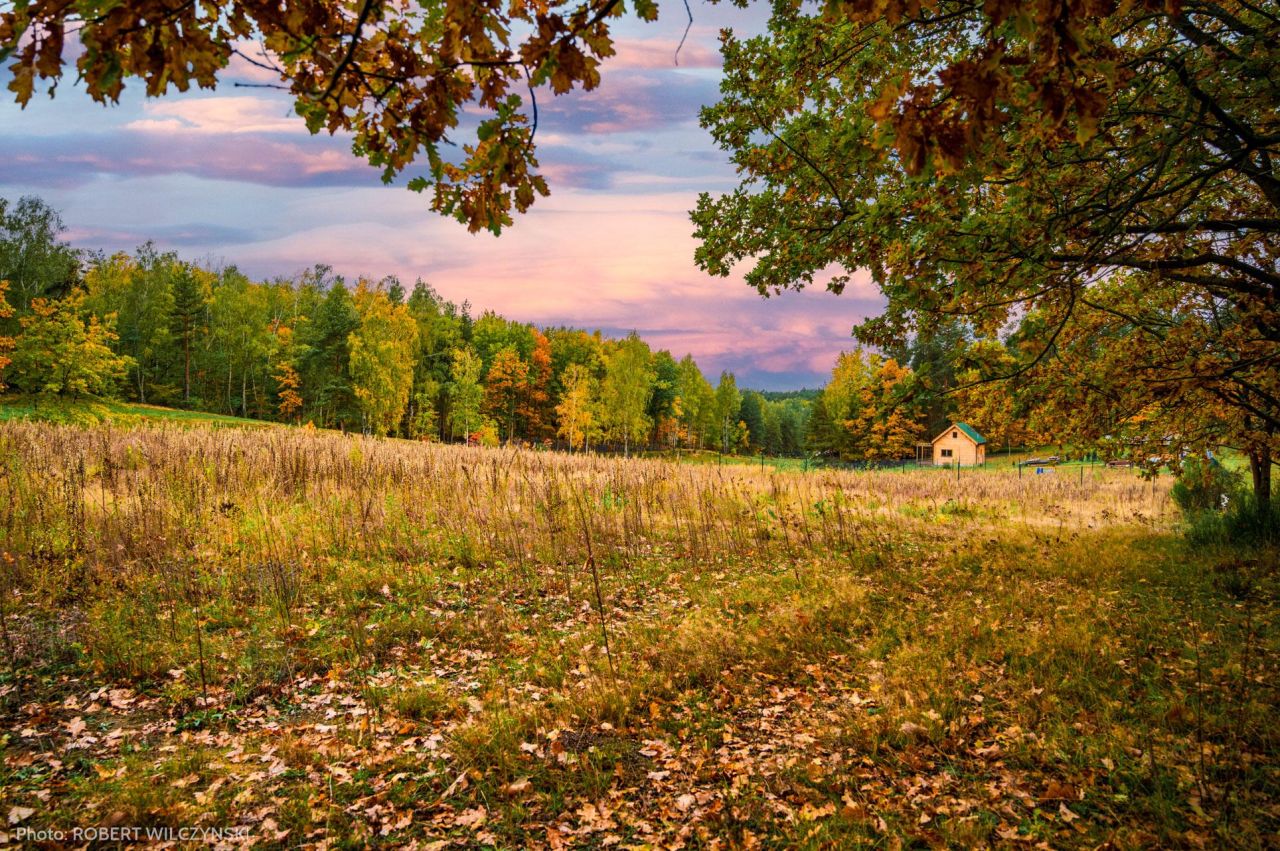 Działka budowlana Jeziórka. Zdjęcie 7