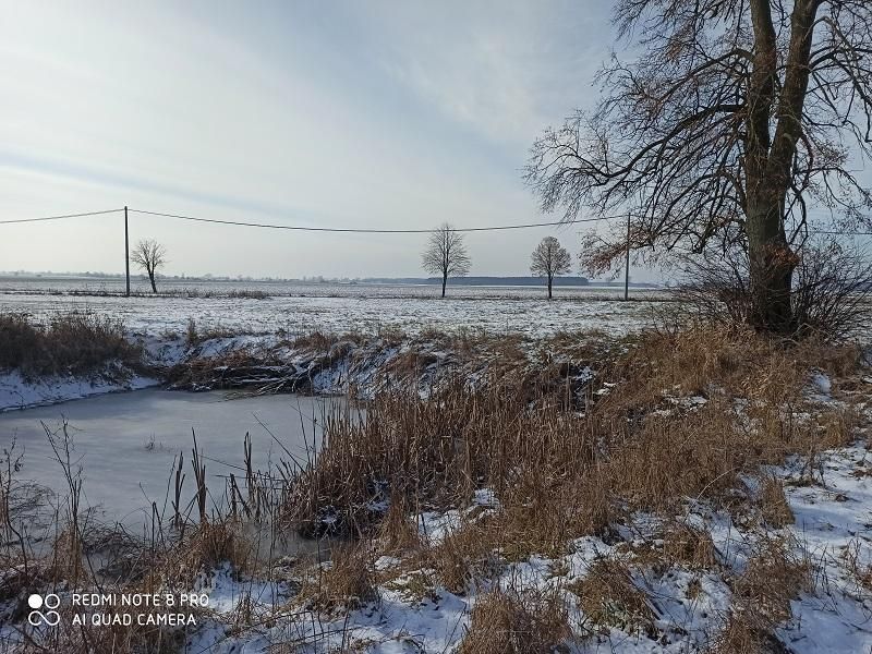 Działka siedliskowa Ostrówki. Zdjęcie 6