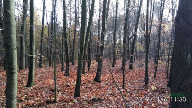 Działka inna Mysłowice Wesoła, ul. Zacisze. Zdjęcie 5