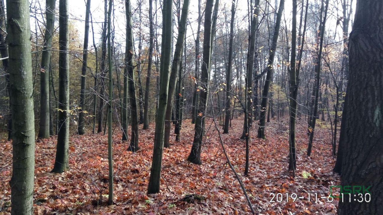 Działka inna Mysłowice Wesoła, ul. Zacisze. Zdjęcie 5