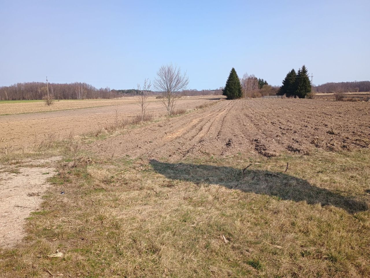 Działka rolna Nowa Wieś Ełcka. Zdjęcie 4