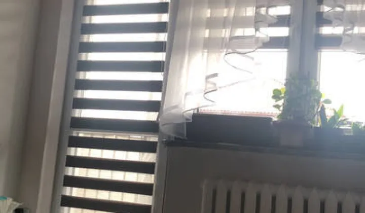 Mieszkanie 3-pokojowe Kock