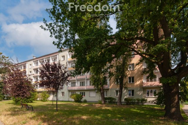 Mieszkanie 2-pokojowe Łódź Bałuty, al. Chryzantem. Zdjęcie 10