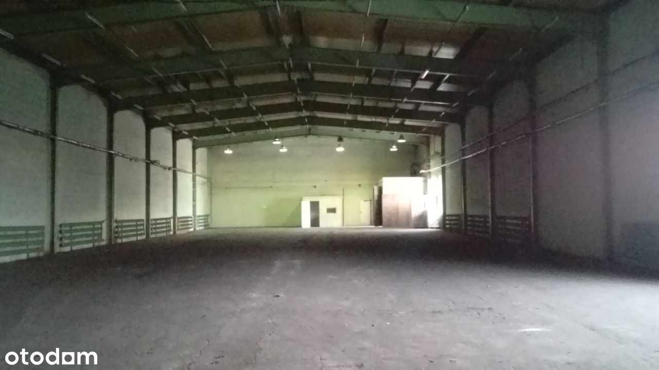 Hala/magazyn Lubartów, ul. Lubelska. Zdjęcie 8