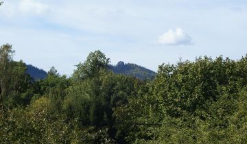 dom wolnostojący, 4 pokoje Janowice Wielkie, ul. Wojska Polskiego