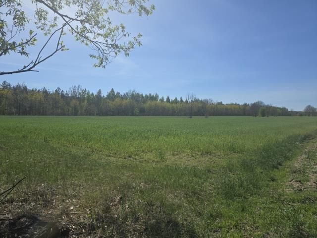 Działka budowlana Michałów. Zdjęcie 2