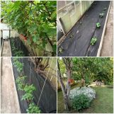 dom letniskowy Lisi Ogon. Zdjęcie 1