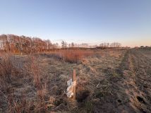 Działka budowlana Stawki. Zdjęcie 1