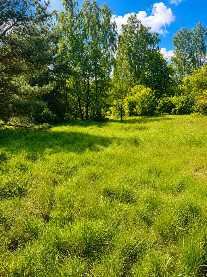 Działka budowlana Hołowienki. Zdjęcie 1