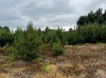 Działka rolna Łąkie, ul. Podstawowa. Zdjęcie 3