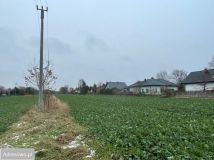 Działka rolno-budowlana Natolin. Zdjęcie 4