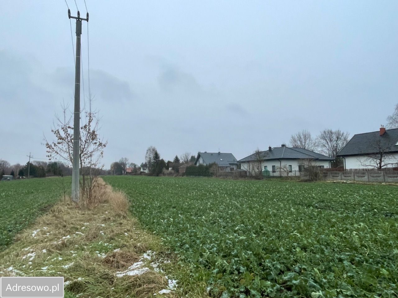 Działka rolno-budowlana Natolin. Zdjęcie 5