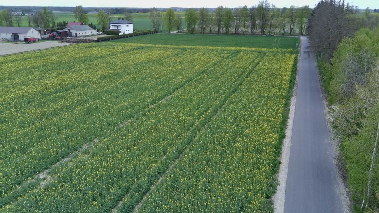 Działka rolno-budowlana Branica Radzyńska-Kolonia. Zdjęcie 4