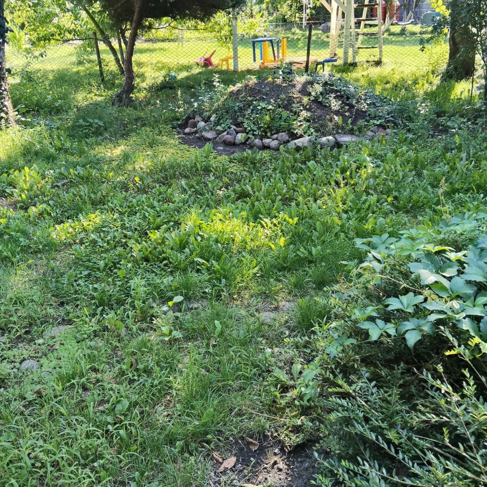Działka rod Wrocław Szczepin, ul. Długa. Zdjęcie 7