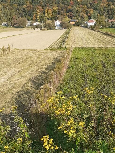 Działka rolno-budowlana Parchatka. Zdjęcie 8