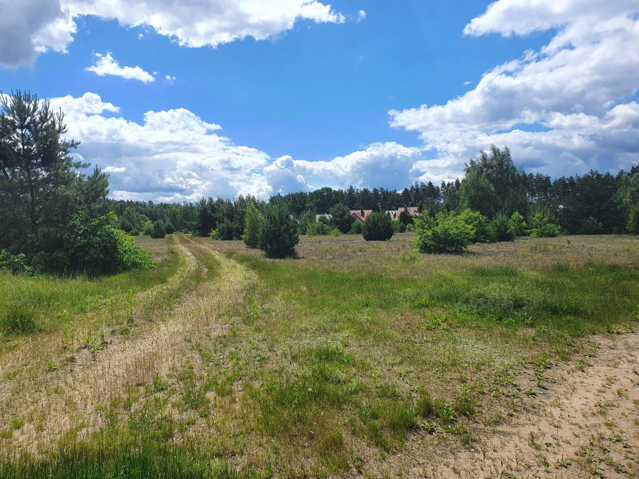 Działka budowlana Kępa Niemojewska. Zdjęcie 5