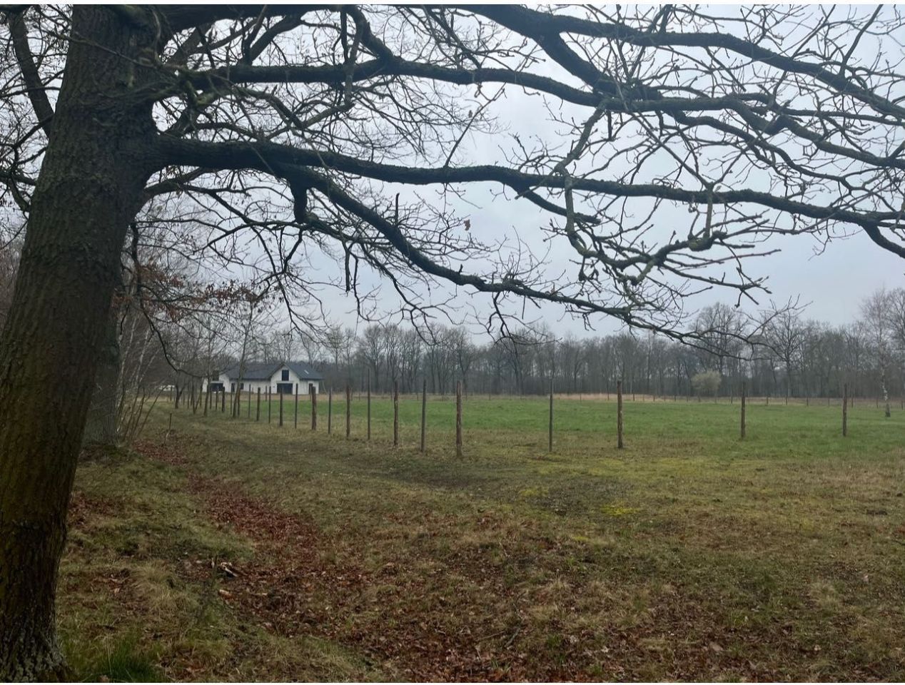 bliźniak Rzędziny. Zdjęcie 5