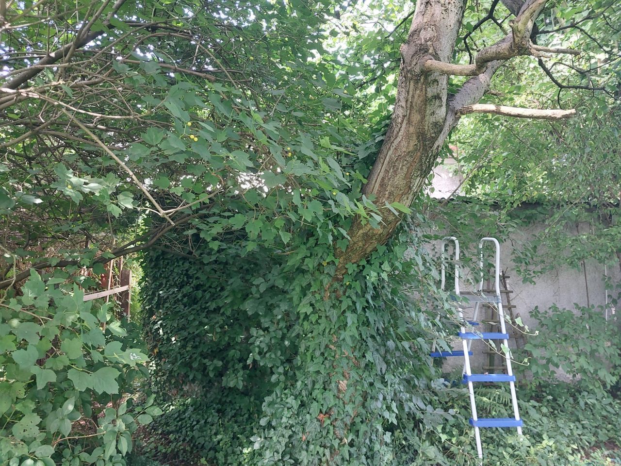 dom wolnostojący, 6 pokoi Zbrosławice, ul. Wolności. Zdjęcie 11