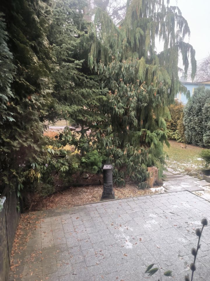 dom szeregowy, 8 pokoi Gliwice Śródmieście, ul. Olszynki. Zdjęcie 10