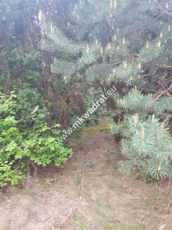 Działka budowlana Rozalin. Zdjęcie 8