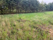 Działka budowlana Ochoża-Kolonia. Zdjęcie 1