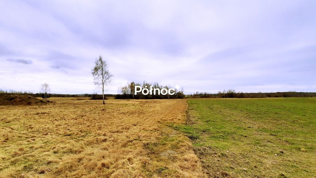 Działka rolno-budowlana Wykroty, ul. Mikołaja Kopernika. Zdjęcie 4