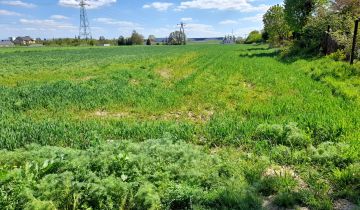 Działka inwestycyjna Żory Baranowice