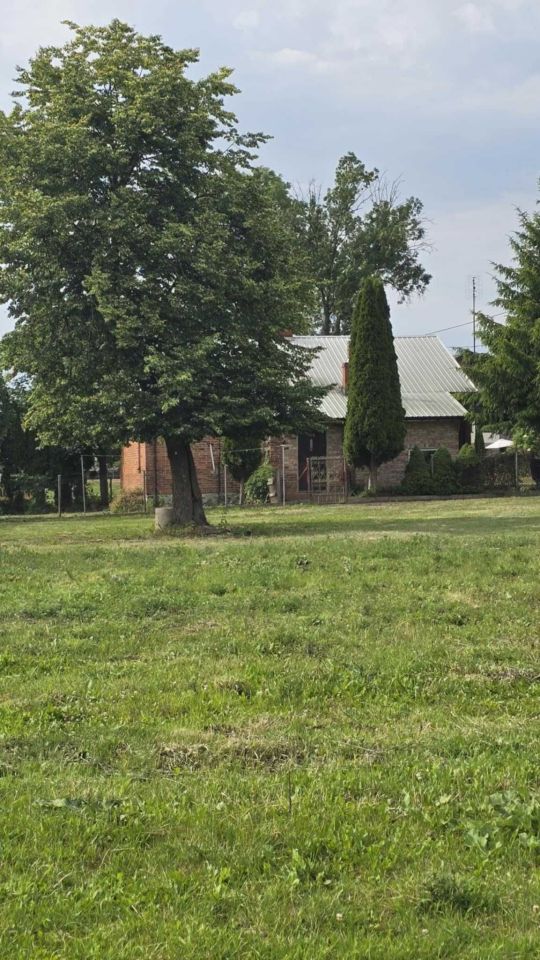 Działka siedliskowa Drogiszka. Zdjęcie 3