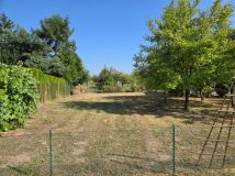 Działka rod Kalisz Szczypiorno, ul. Gościnna. Zdjęcie 1