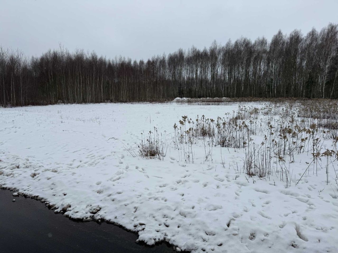 Działka budowlana Olesin, ul. Pałacowa. Zdjęcie 7