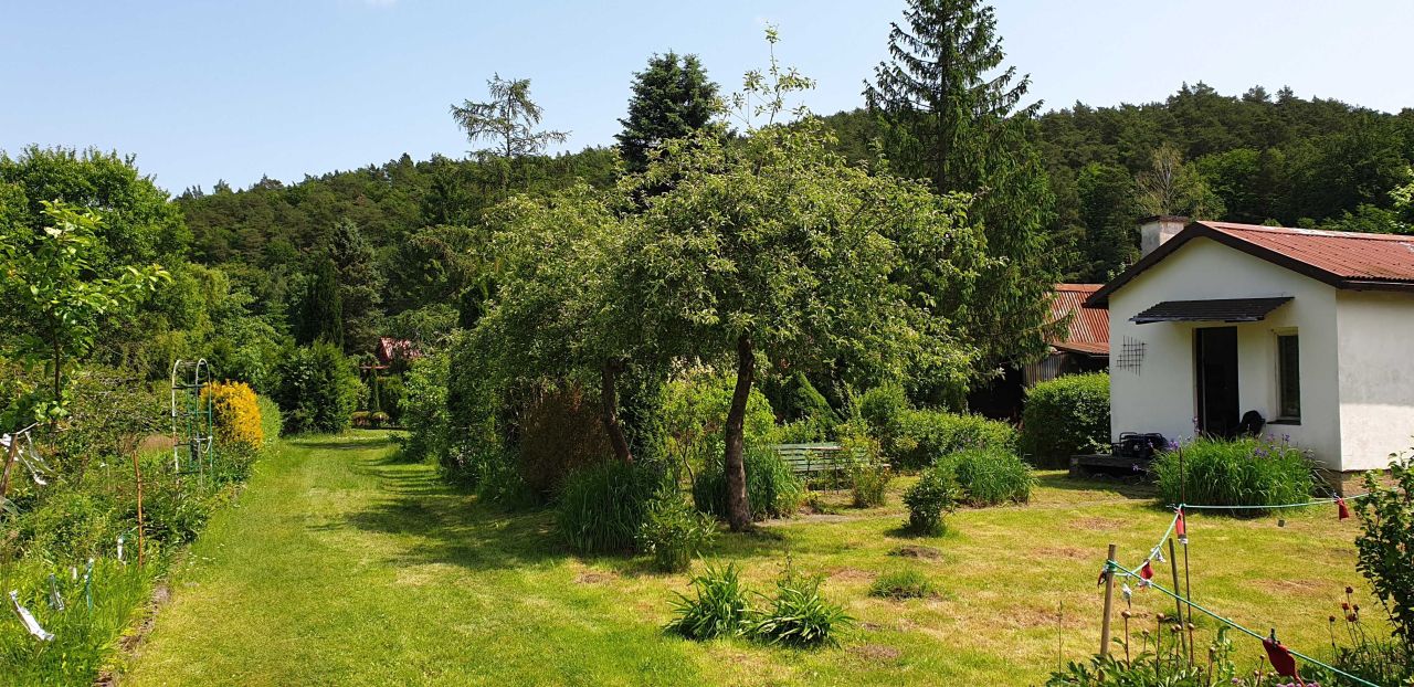 Działka rod Gdańsk Oliwa, ul. Bytowska. Zdjęcie 3