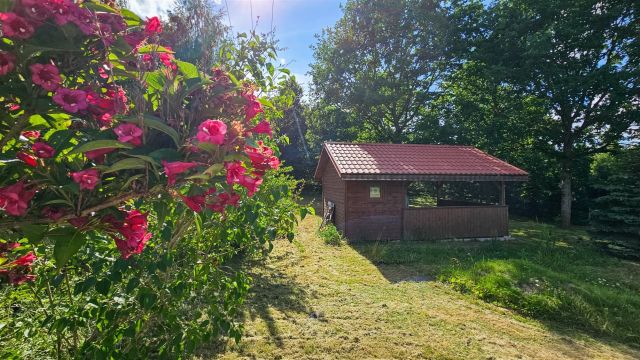 Działka rekreacyjna Ublik. Zdjęcie 9