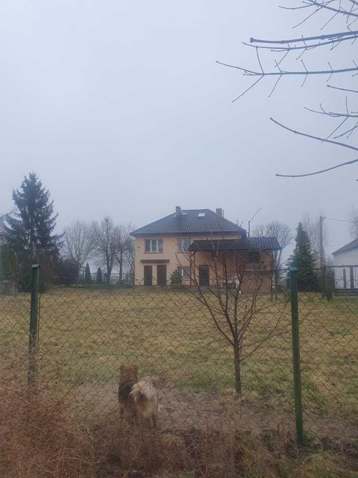 siedlisko Zajeziorze. Zdjęcie 2