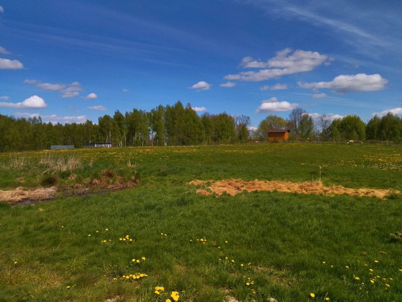 Działka rekreacyjna Raj. Zdjęcie 7