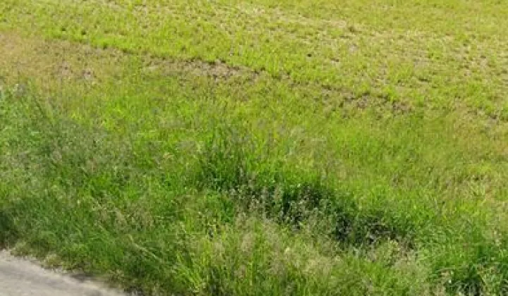 Działka rolno-budowlana Ksawerów