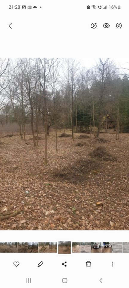 Działka rekreacyjna Czerwona Wola