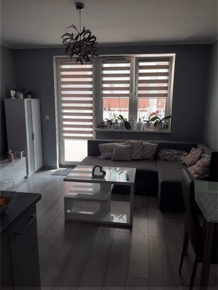 Mieszkanie 2-pokojowe Lubin