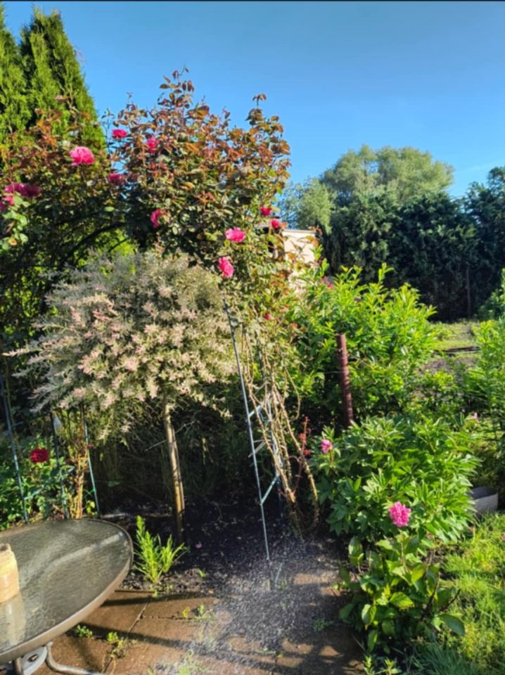 Działka rod Włocławek Lisek, ul. Jastrzębia. Zdjęcie 3